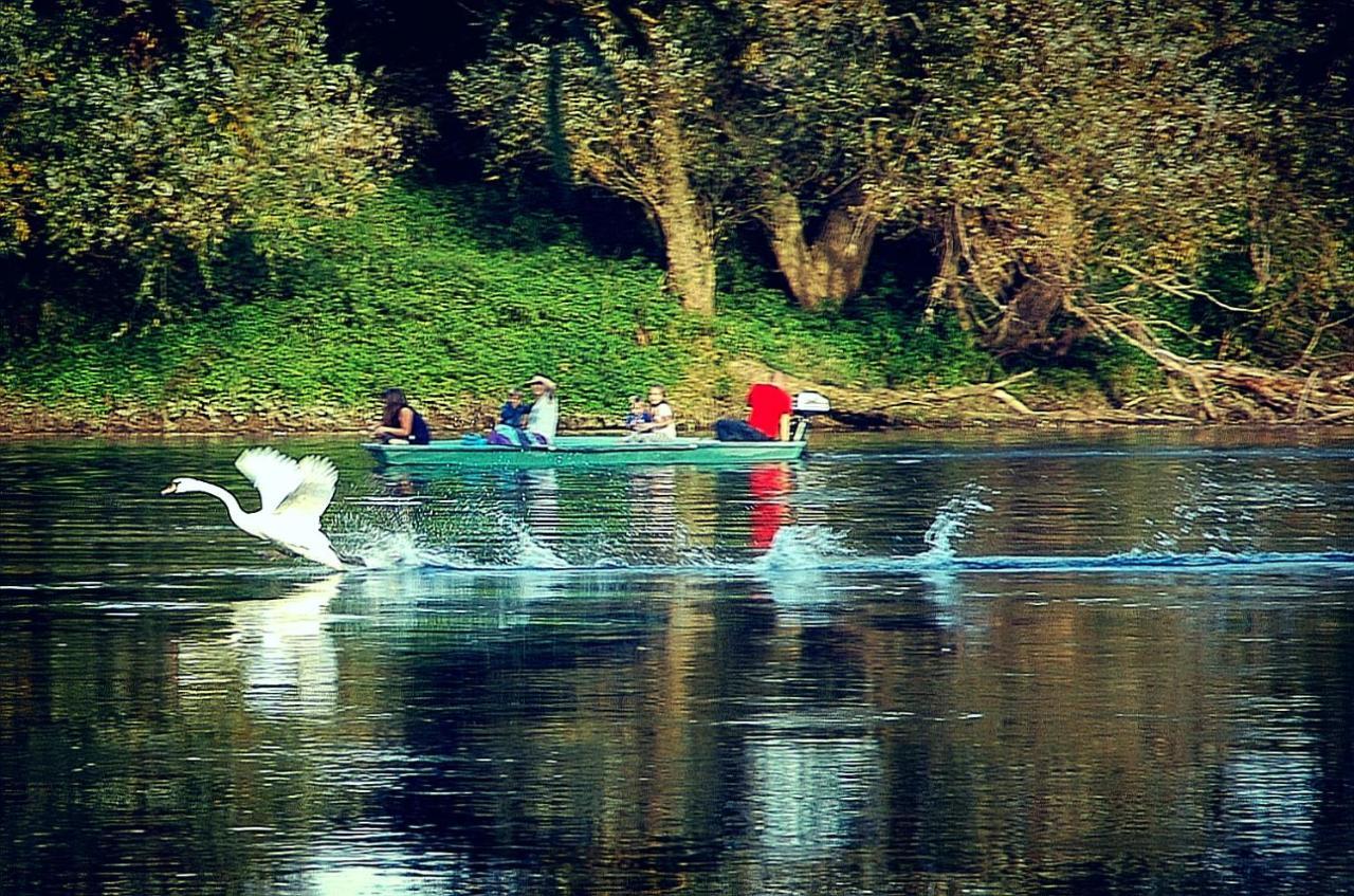 Zagreb, Kuca Za Odmor Swan River Holiday House Lasinja Екстериор снимка
