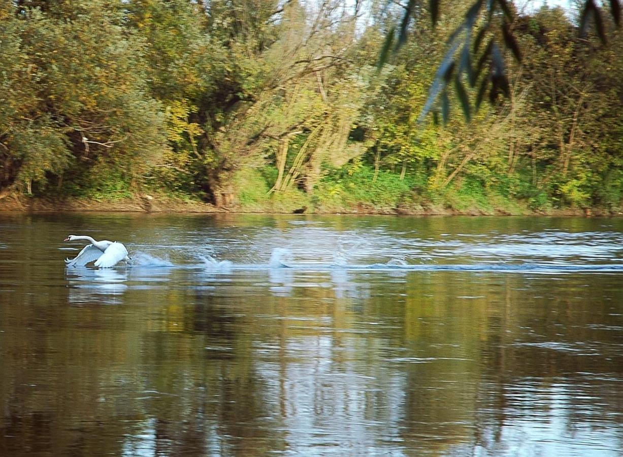 Zagreb, Kuca Za Odmor Swan River Holiday House Lasinja Екстериор снимка